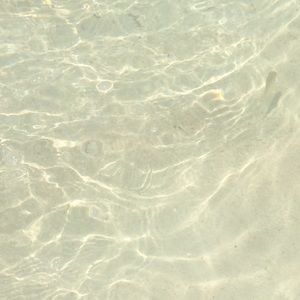 Meet your Posher, Jaclyn